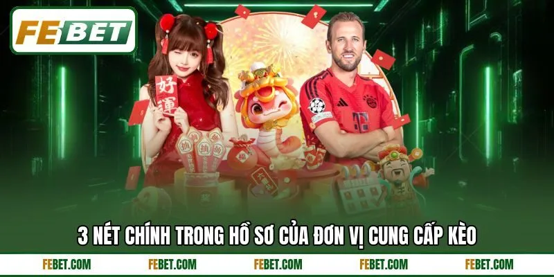 3 nét chính trong hồ sơ của đơn vị cung cấp kèo 3 nét chính trong hồ sơ của đơn vị cung cấp kèo