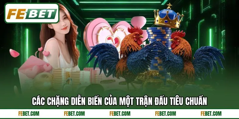 Các chặng diễn biến của một trận đấu tiêu chuẩn