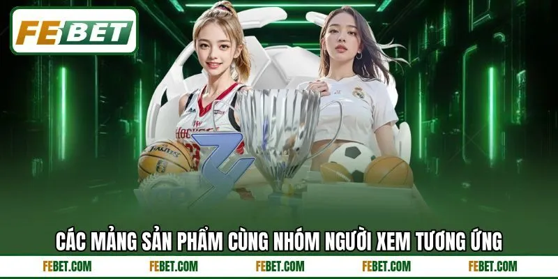 Các mảng sản phẩm cùng nhóm người xem tương ứng