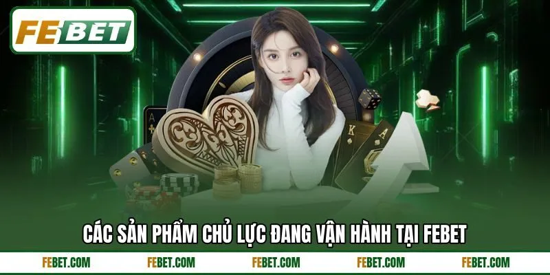 Các sản phẩm chủ lực đang vận hành tại FEBET
