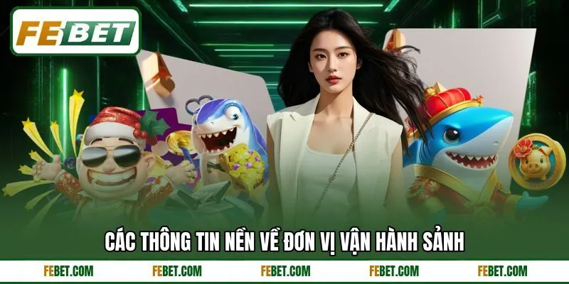Các thông tin nền về đơn vị vận hành sảnh