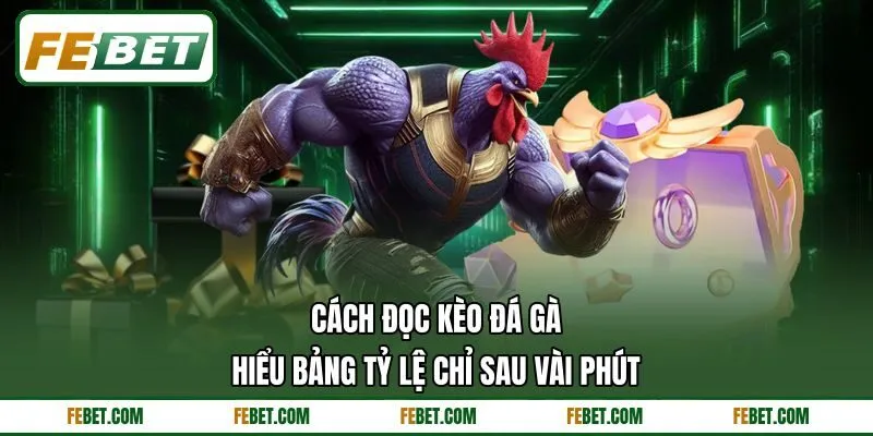 Cách Đọc Kèo Đá Gà - Hiểu Bảng Tỷ Lệ Chỉ Sau Vài Phút