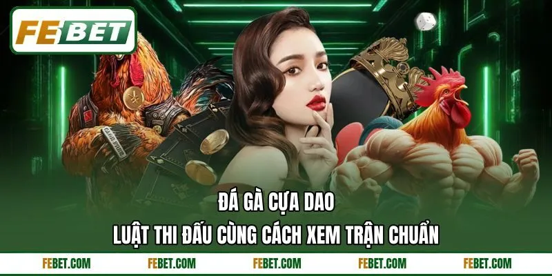 Đá Gà Cựa Dao - Luật Thi Đấu Cùng Cách Xem Trận Chuẩn