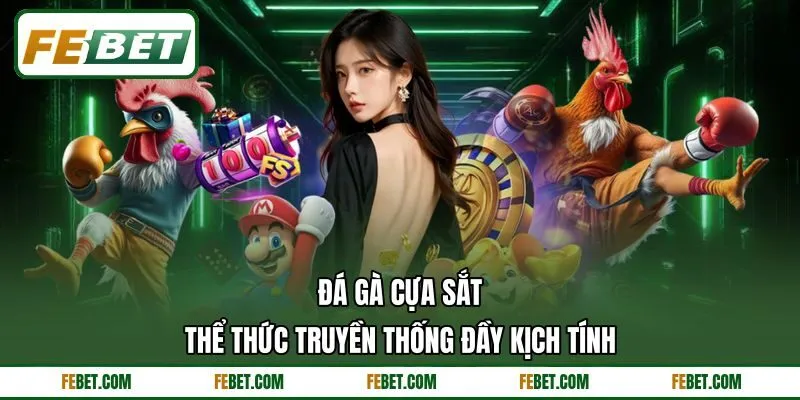 Đá Gà Cựa Sắt - Thể Thức Truyền Thống Đầy Kịch Tính