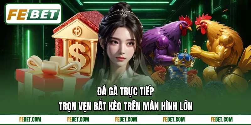 Đá Gà Trực Tiếp - Trọn Vẹn Bắt Kèo Trên Màn Hình Lớn
