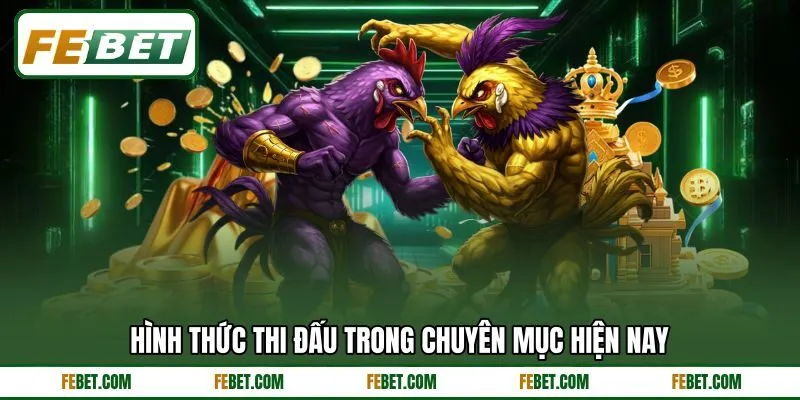 Hình thức thi đấu trong chuyên mục hiện nay Hình thức thi đấu trong chuyên mục hiện nay