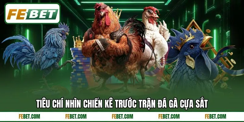Tiêu chí nhìn chiến kê trước trận đá gà cựa sắt