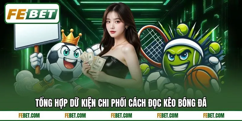 Tổng hợp dữ kiện chi phối cách đọc kèo bóng đá Tổng hợp dữ kiện chi phối cách đọc kèo bóng đá