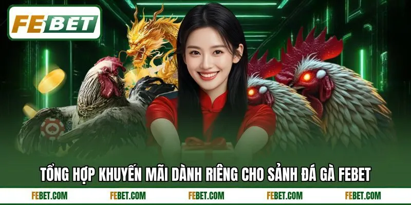 Tổng hợp khuyến mãi dành riêng cho sảnh đá gà FEBET Tổng hợp khuyến mãi dành riêng cho sảnh đá gà FEBET
