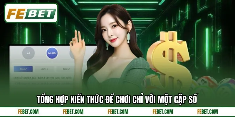 Tổng hợp kiến thức để chơi chỉ với một cặp số Tổng hợp kiến thức để chơi chỉ với một cặp số