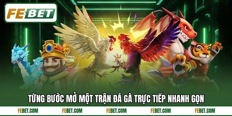 Từng bước mở một trận đá gà trực tiếp nhanh gọn