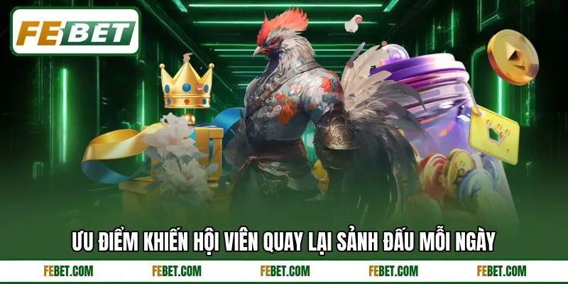 Ưu điểm khiến hội viên quay lại sảnh đấu mỗi ngày Ưu điểm khiến hội viên quay lại sảnh đấu mỗi ngày