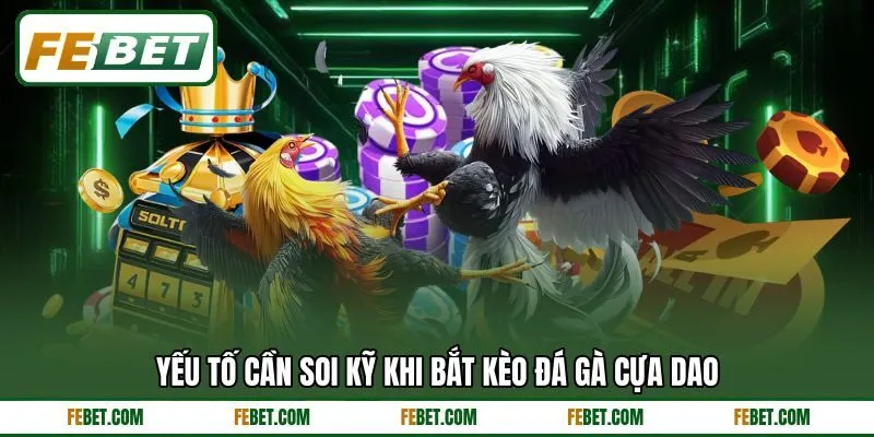 Yếu tố cần soi kỹ khi bắt kèo đá gà cựa dao